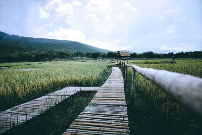 Scenic view of agricultural field against sky