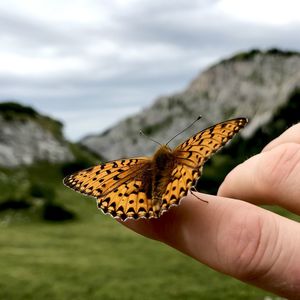 Close-up of butterfly on hand with mountain landscape in blurry background