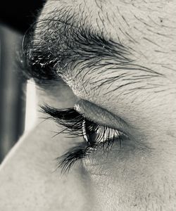 Close-up of human eye