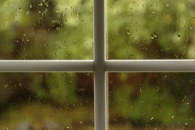 Close-up of wet window