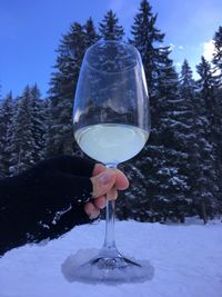 Close-up of human hand holding alcoholic drink against trees during winter
