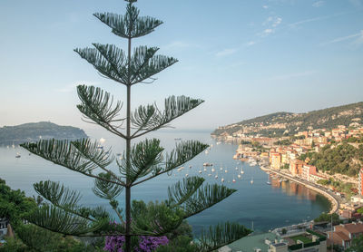 Scenic view of lake by trees against sky