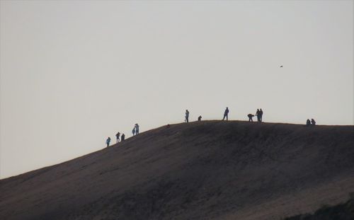 People on beach against sky