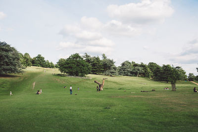 Scenic view of richmond park against sky