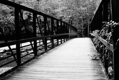 Boardwalk amidst trees against sky
