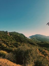 Scenic view of landscape against clear blue sky