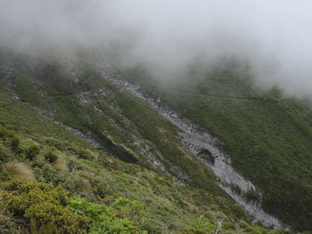 Scenic view of landscape