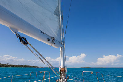 Sailboat sailing in sea against sky