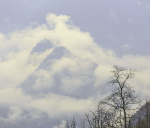 Low angle view of bare trees against cloudy sky