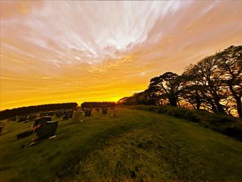 Scenic view of field against sky during sunset