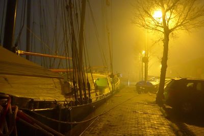 Panoramic shot of trees at sunset