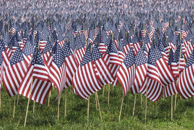 American flags on field