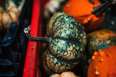 Close-up of pumpkins in crates for sale at market