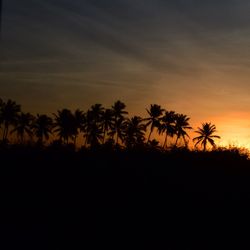 Silhouette palm trees at sunset