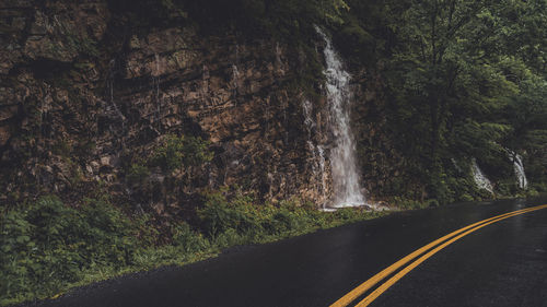 Road passing through forest