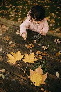 High angle view of boy on dry leaves during autumn