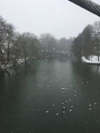 Scenic view of snow covered trees against sky