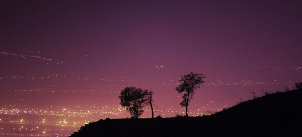 Silhouette trees against sky at night