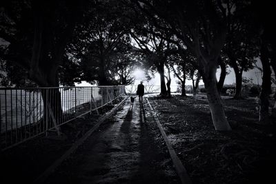 Rear view of silhouette man and woman walking on trees