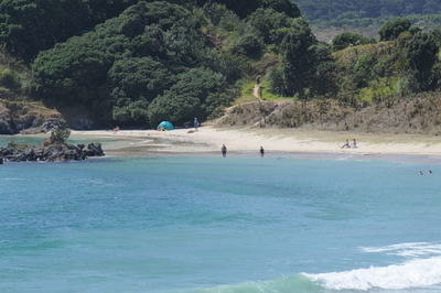 Scenic view of sea against trees