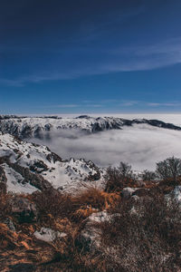 View from a top of a hill in northern sikkim, indi