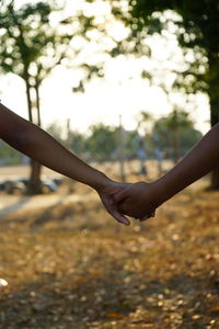 Cropped images of friends holding hands in park