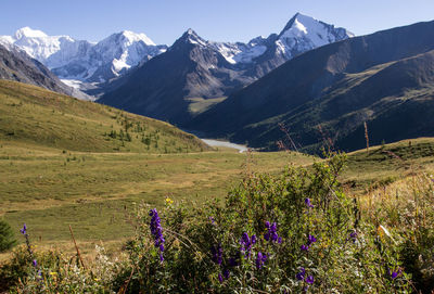 Scenic view of grassy field and mountains against sky