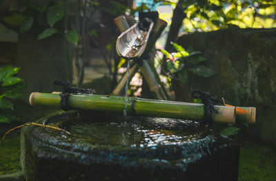 Close-up of water fountain in garden