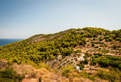 Scenic view of landscape against clear sky