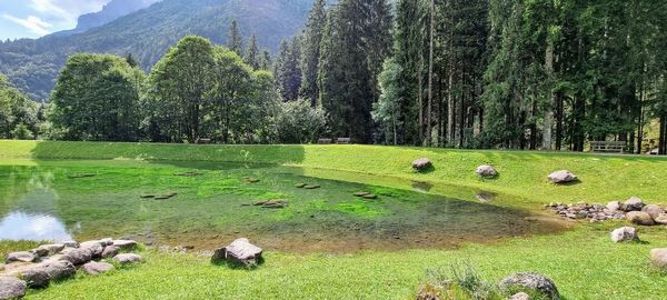 Scenic view of lake