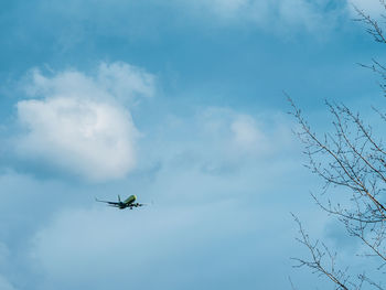 Low angle view of airplane flying in sky