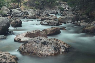 Rocky stream in forest