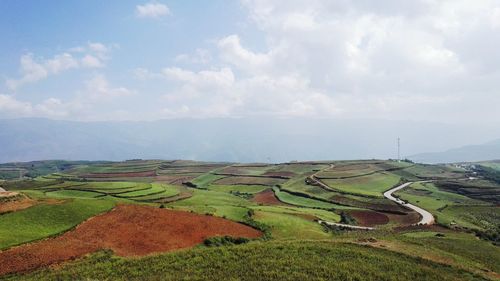 Scenic view of agricultural field against cloudy sky