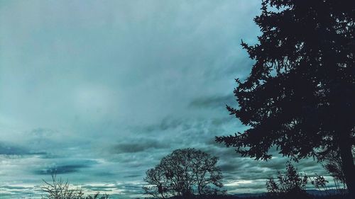 Low angle view of trees against cloudy sky