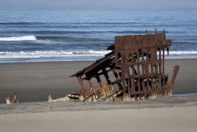 Peter iredale ship wreck