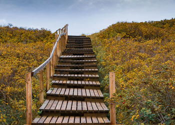 Staircase amidst trees against sky during autumn