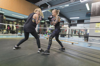 Female boxers working out together in boxing gym