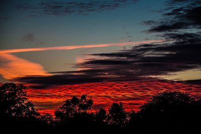 Silhouette trees against dramatic sky during sunset