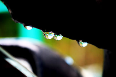 Close-up of water drops on plant