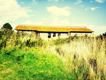 Scenic view of grassy field against sky