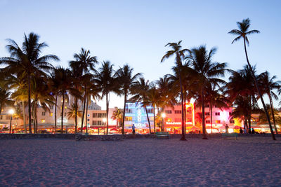 Palm trees on beach against sky at dusk