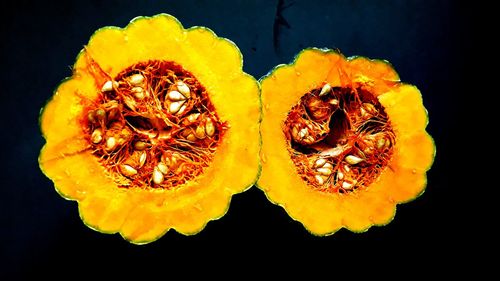 Close-up of yellow flower against black background