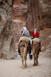 Rear view of people riding camel