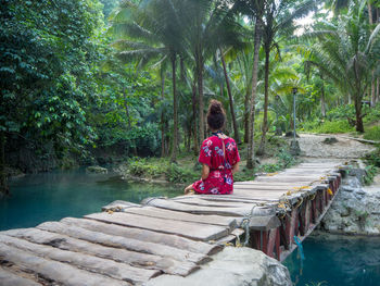 Rear view of woman sitting by lake against trees