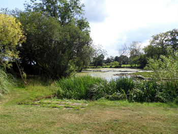 Scenic view of lake against sky