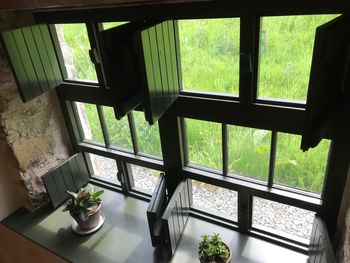 Plants seen through glass window of house