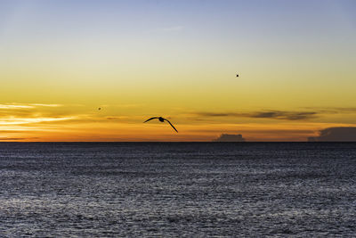 Silhouette bird flying over sea against sky during sunset