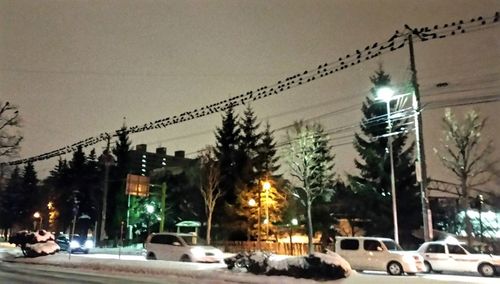 Cars on illuminated street at night