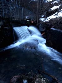 River flowing through forest