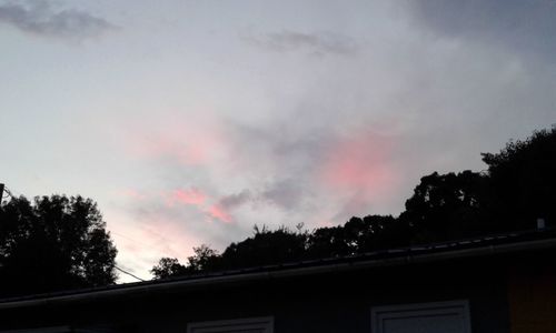 Low angle view of silhouette trees and building against sky